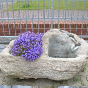 Garten 11